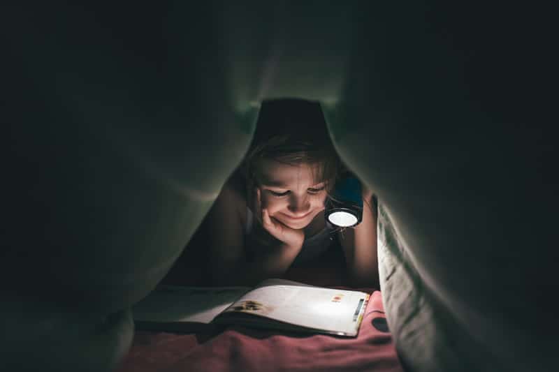 early years story box newsletter signup